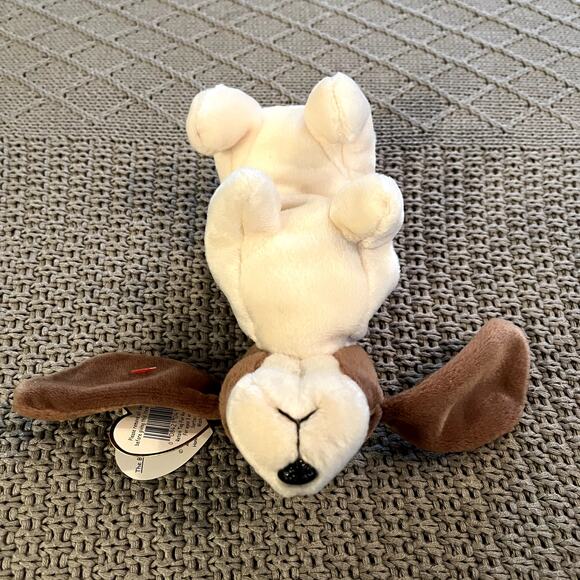 Ty Beanie Baby - 1997 - TRACKER - EUC - Picture 3 of 8